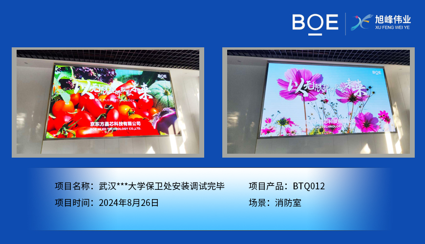 武漢***大學保衛(wèi)處安裝調試完畢