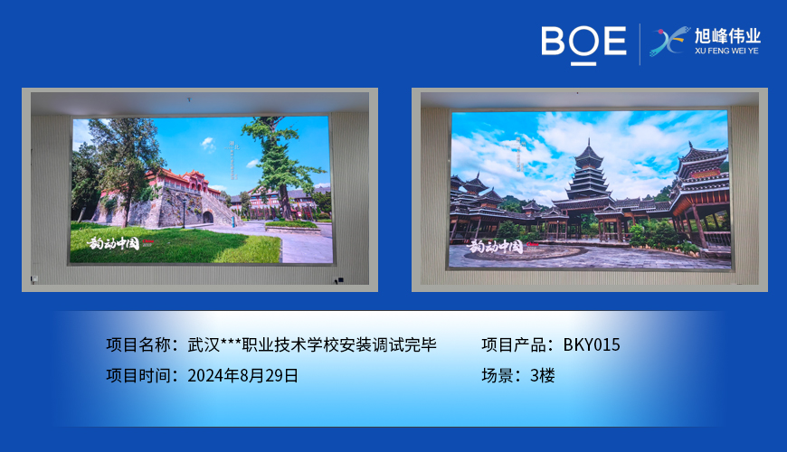 武漢***職業(yè)技術學校安裝調試完畢